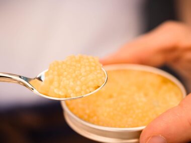 Caviale di storione albino