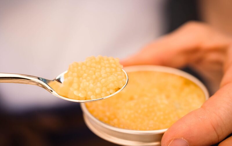 Caviale di storione albino