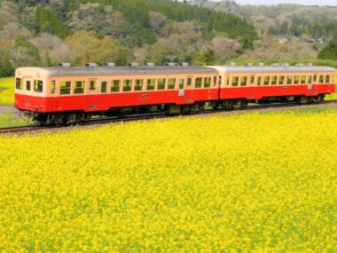 Treno locale in Giappone
