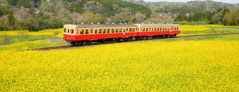 Treno locale in Giappone