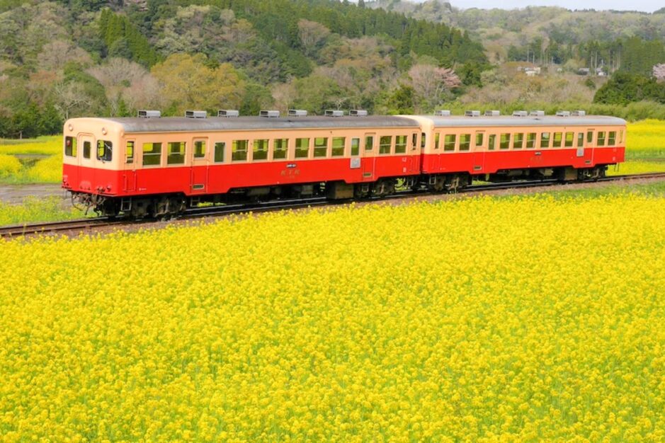 Treno locale in Giappone