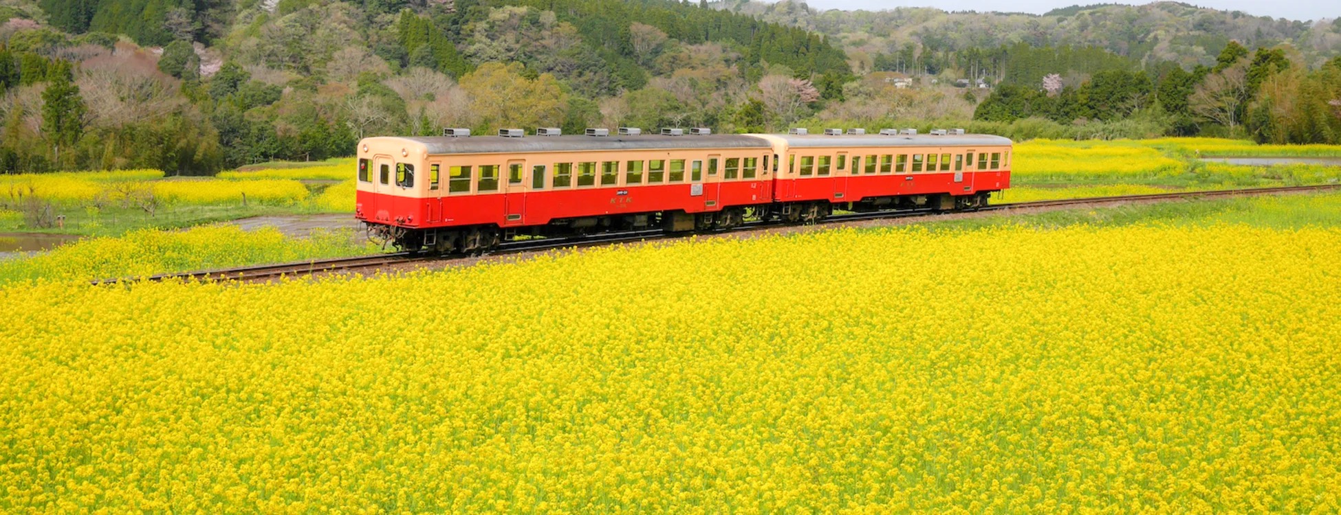 Treno locale in Giappone