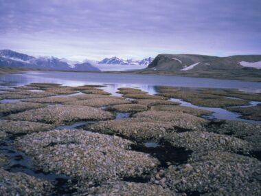 Il Permafrost si scongela