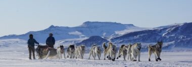 Slitta trainata da cani (2020) Groenlandia