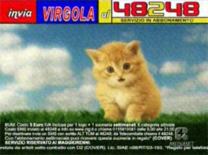 spot suonerie con gatto