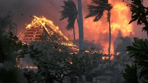 Incendi Maui, fonte: Facebook @Luca Zaia