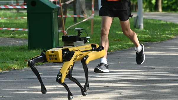 Cane-robot