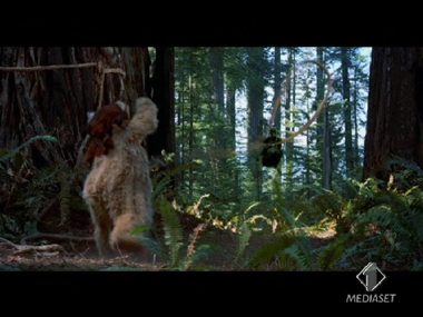 Scena: STAR WAR lazo