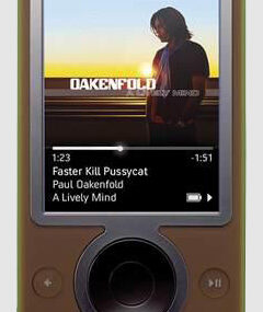 Zune brown