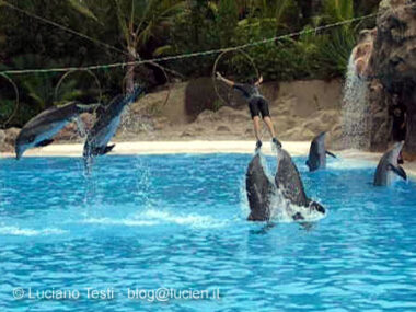 Delfini