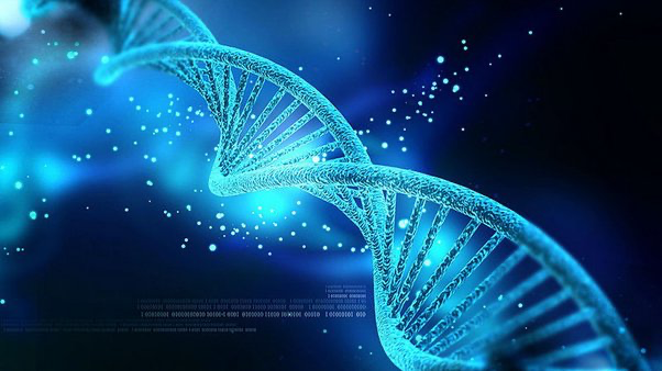 DNA