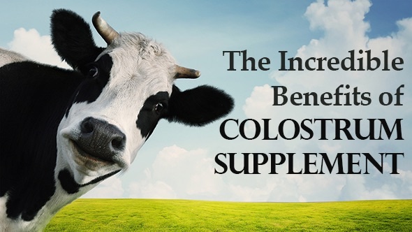 The Incredible Benefits of COLOSTRUM SUPPLEMENT