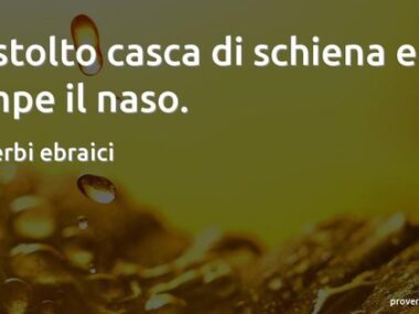 Lo stolto casca di schiena e si rompe il naso