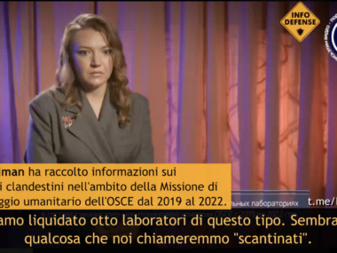 Vera Vayiman in Ucraina per OCSE dal 2019 al 2022.